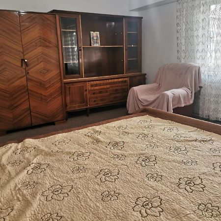 Garsoniera Apartment Craiova Exterior photo